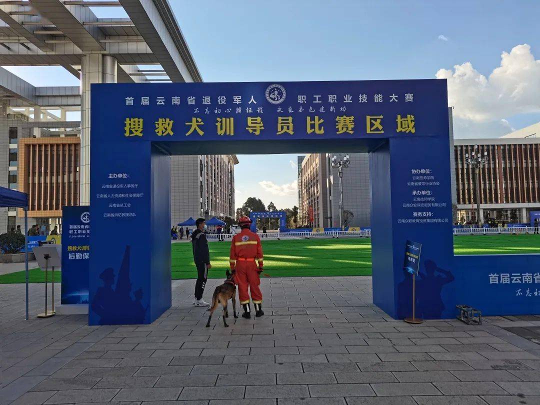 新西兰选手抓住机会，勇夺桂冠